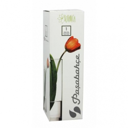 Paşabahçe Botanica Cam Vazo 26 cm