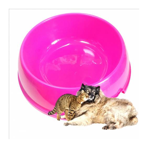 Girist Pet Plastik Kedi & Köpek Mama ve Su Kabı 1 Lt 18x6,5 cm