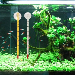 Girist Pet Akvaryum Cam Termometre